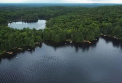 Stunning aerial shot of the beautiful waters and forestry in Haliburton Highlands